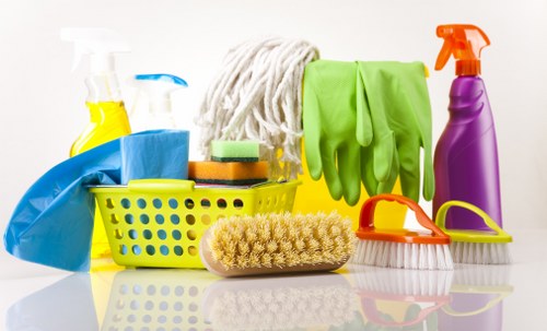 Professional cleaning company in Ealing for homes and businesses