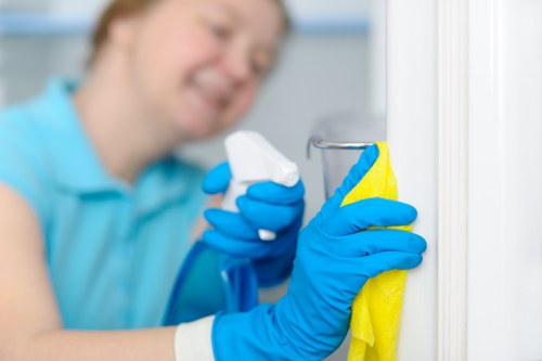 Domestic cleaning service in Ealing for a family home