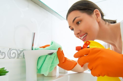 Professional home cleaners providing domestic cleaning in Ealing