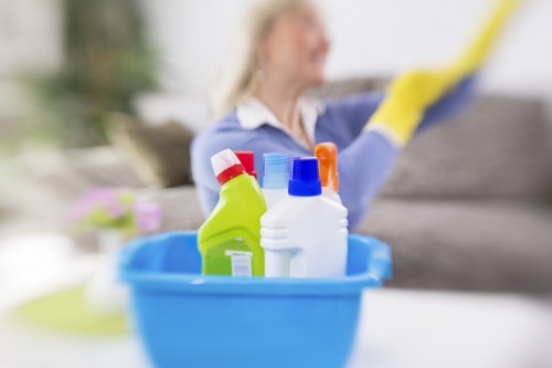 Experienced cleaners in Ealing working in a bright living space