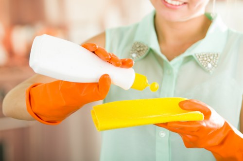 Eco-friendly cleaner in Ealing working in a modern apartment