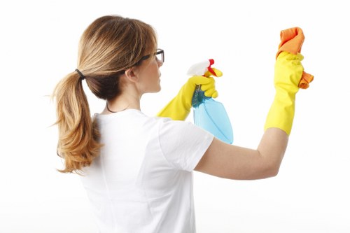 Deep cleaning and move-in cleaning services in Ealing