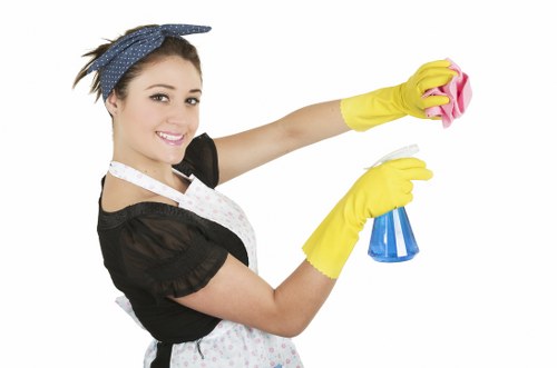 Deep carpet cleaning service for a busy property in Ealing