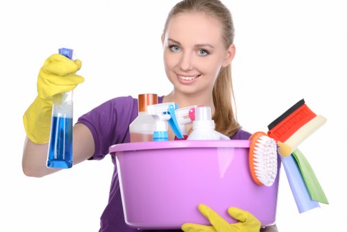 Domestic carpet cleaning in a typical Ealing property