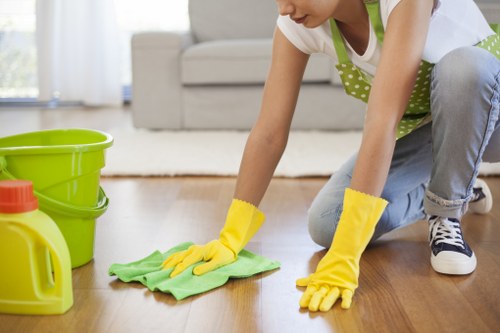 Stain removal and deep cleaning for rugs in Ealing